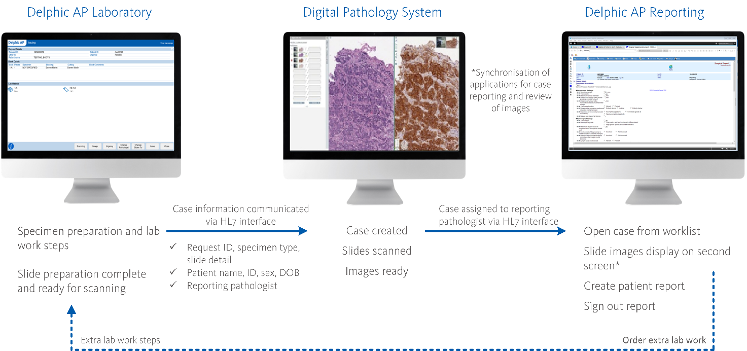 new Digital Pathology Interface